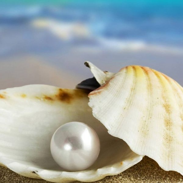 The Parable Of The Pearl